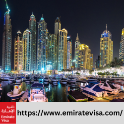 multiple entry visa Dubai