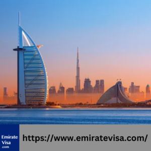 30-Day Multiple Entry Visa price