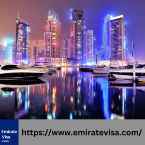 30-Day Multiple Entry Visa price