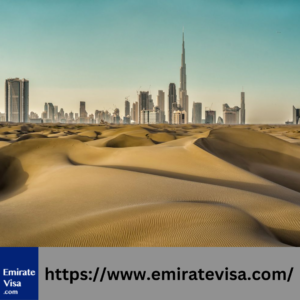 30-Day Multiple Entry Visa price